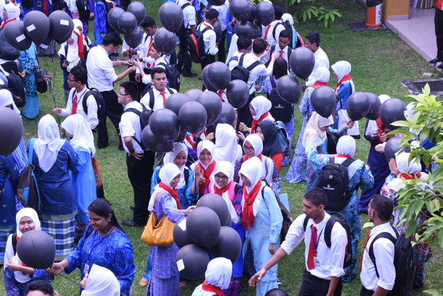 291 DSC 0368